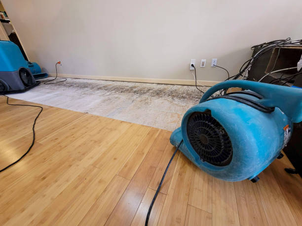 Professional Water Damage Repair technician working in O'Brien, OR